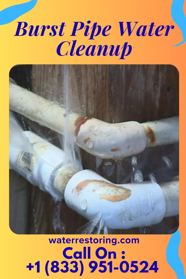 Burst Pipe Water Cleanup in Riverton, WY