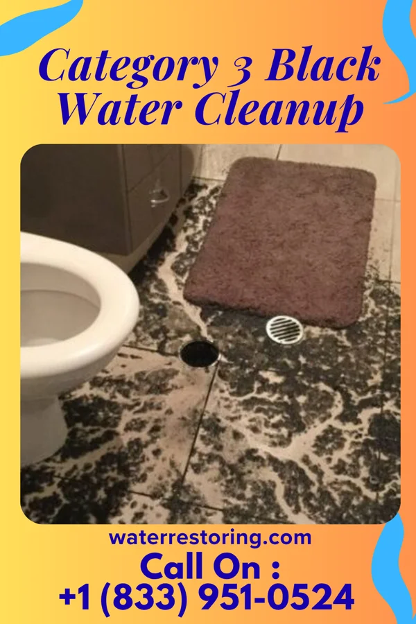 Category 3 Black Water Cleanup in Riverton, WY