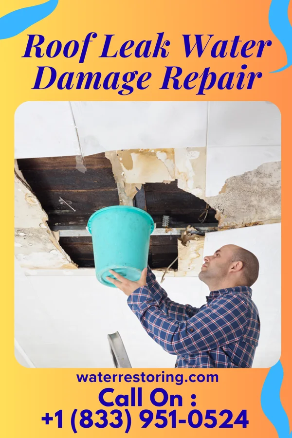 Roof Leak Water Damage Repair in Riverton, WY