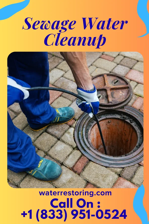 Sewage Water Cleanup in Riverton, WY