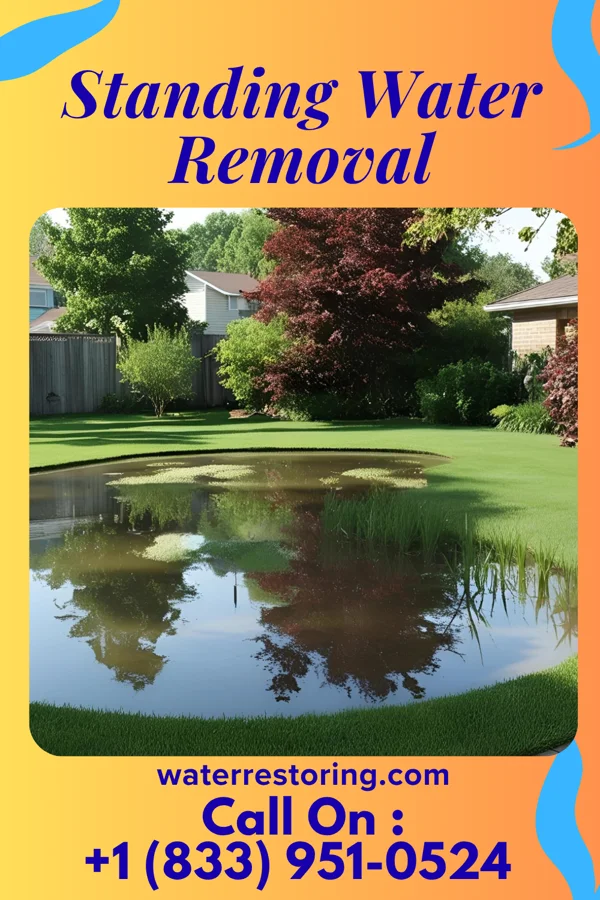Standing Water Removal in Riverton, WY